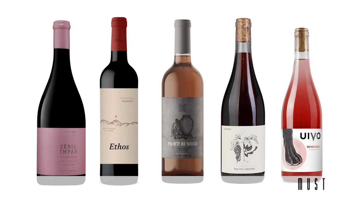 “Não é milagre, é palhete”. Um vinho para o futuro – Sabores