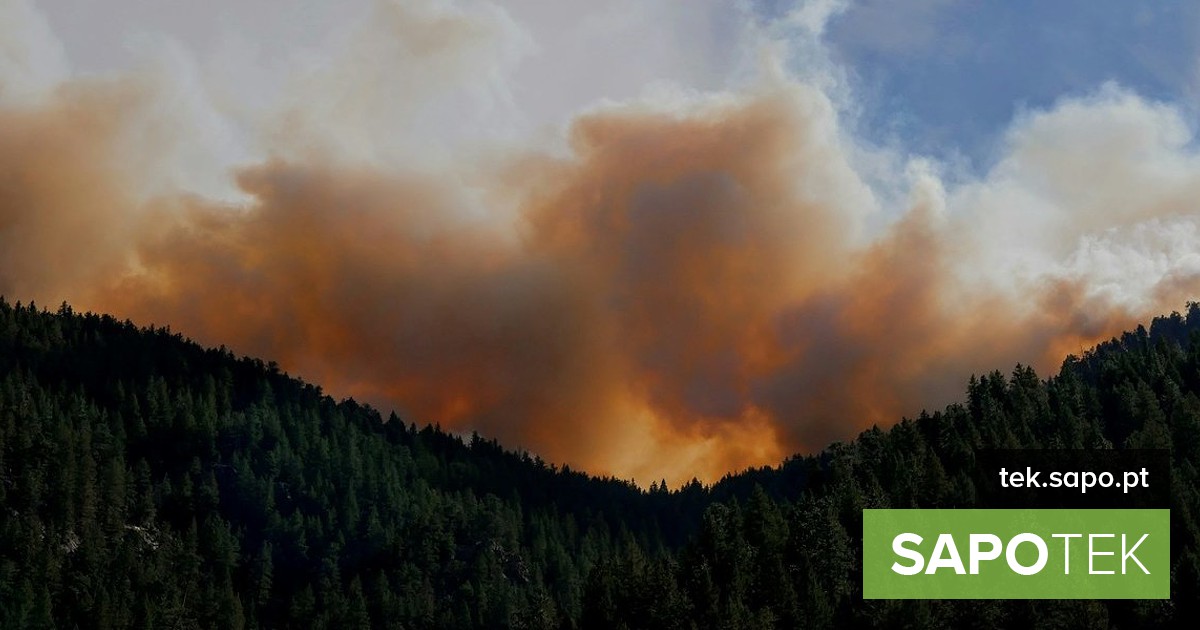 Rede FireSat da Google vai usar satélites com IA para combater incêndios em todo o mundo – Multimédia