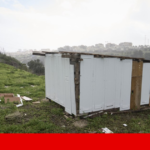 Vitorino diz que há médicos a trabalhar na agricultura por causa da “resistência corporativa”