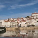 Da força do poder ao poder da força | Opinião