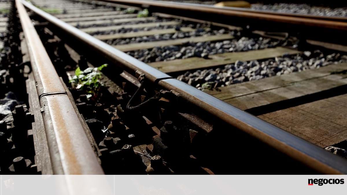 Expropriações da alta velocidade mudam em Espinho e poupam quinta de donos da Solverde – Transportes