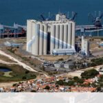 Lucros da principal concessão da Brisa sobem 18%. Portagens renderam 806,5 milhões em 2024