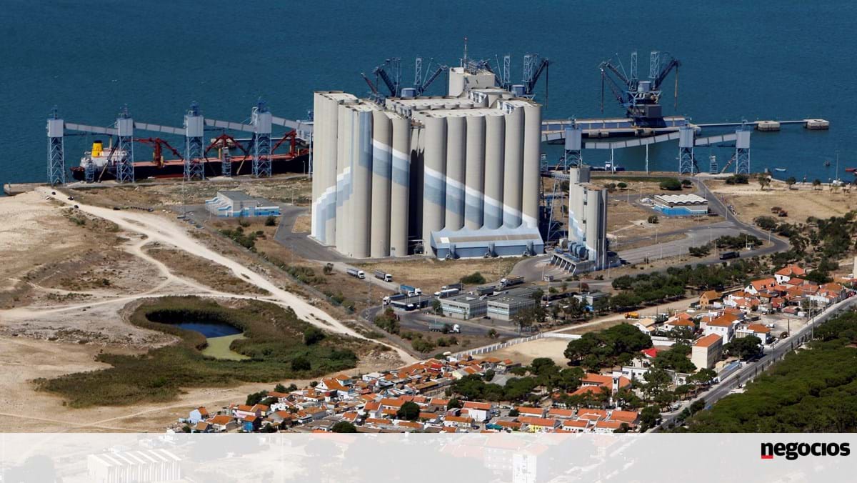Governo aprova diploma que arranca processo de privatização da Silopor – Empresas