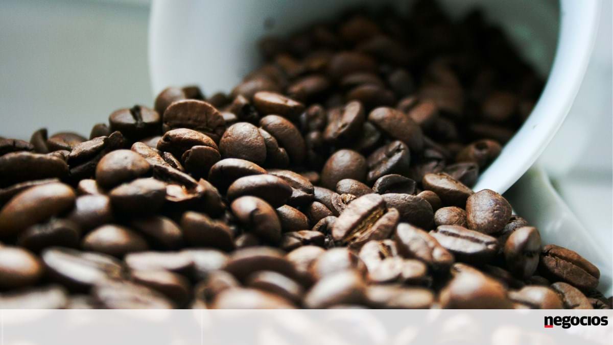 Preços mundiais do café voltam a atingir máximos históricos em fevereiro – Mercados