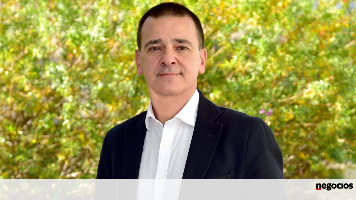 Magic Beans com receitas de 4,1 milhões em 2024 e concentra atividade em hub de Lisboa – Tecnologias