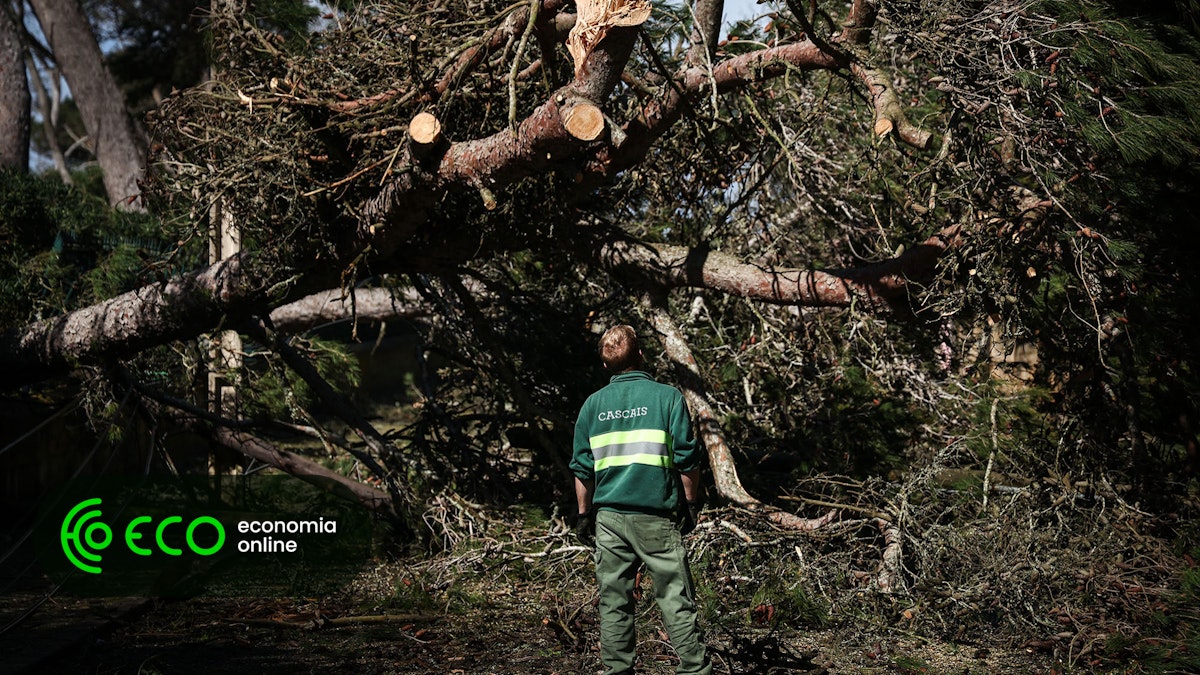 Depressão Martinho. Prejuízo das seguradoras quase atinge 50 milhões de euros