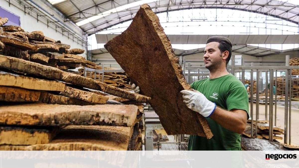 Corticeira Amorim propõe dividendos de 42,5 milhões aos acionistas em assembleia-geral – Indústria