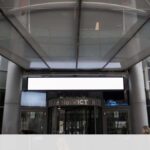 Câmara de Lisboa recua na remoção de árvores na Avenida 5 de Outubro e reavalia abates