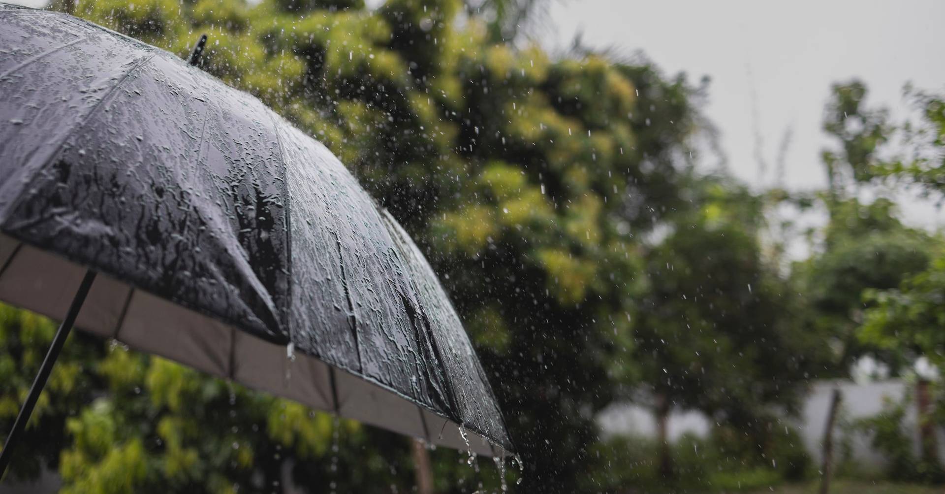 Prepare o chapéu: Guarda e Viseu sob aviso amarelo devido a chuva forte