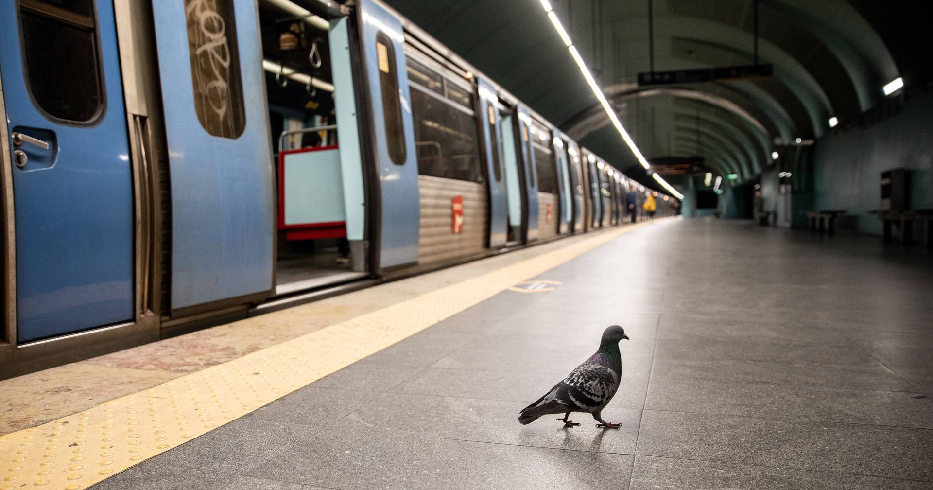 Festejos da Liga fecham quatro estações do Metro de Lisboa a partir das 17h30 no sábado