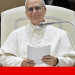 O que são as pororocas? Surfista luta pela preservação de fenómeno raro em risco na Amazónia