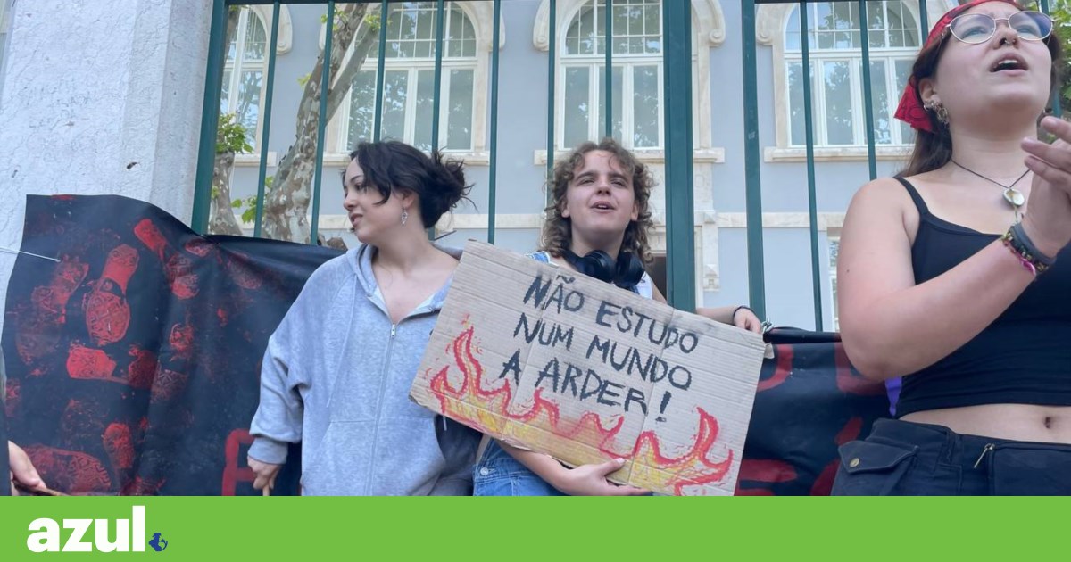 Protesto: “Não podemos aceitar mais um governo que nos condena ao colapso climático” | Activismo climático