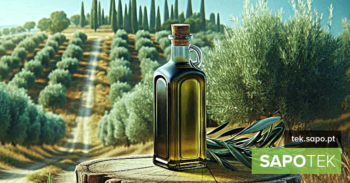 História, guia de provas e receitas com azeite na app OLI(V)ALL-IN – Android