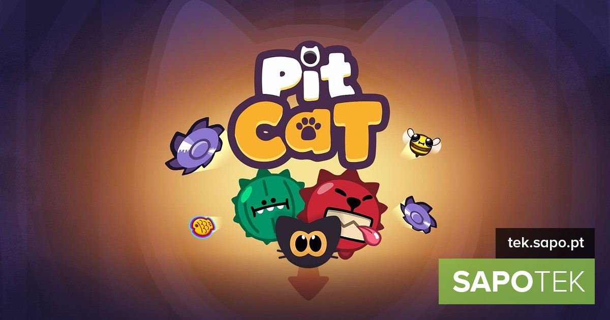 Pit Cat põe a sua mente (e pontaria) à prova com 100 níveis cheios de desafios – Apps
