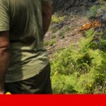 Ricardo Araújo Pereira ironiza sobre 8 anos de prisão para Léo Lins: “É insuficiente, não deve cumprir a pena sozinho, quem riu é cúmplice”