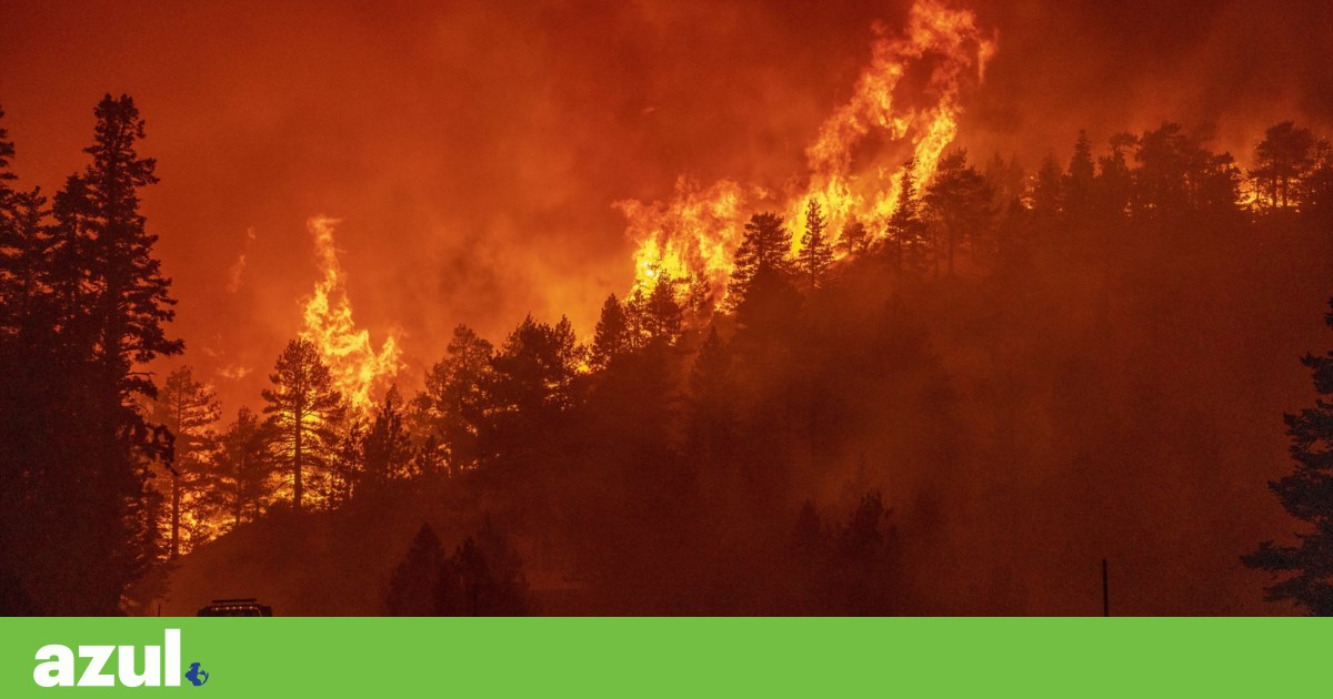 Incêndios aumentaram nas áreas protegidas. Cientistas pedem melhor gestão do risco | Florestas