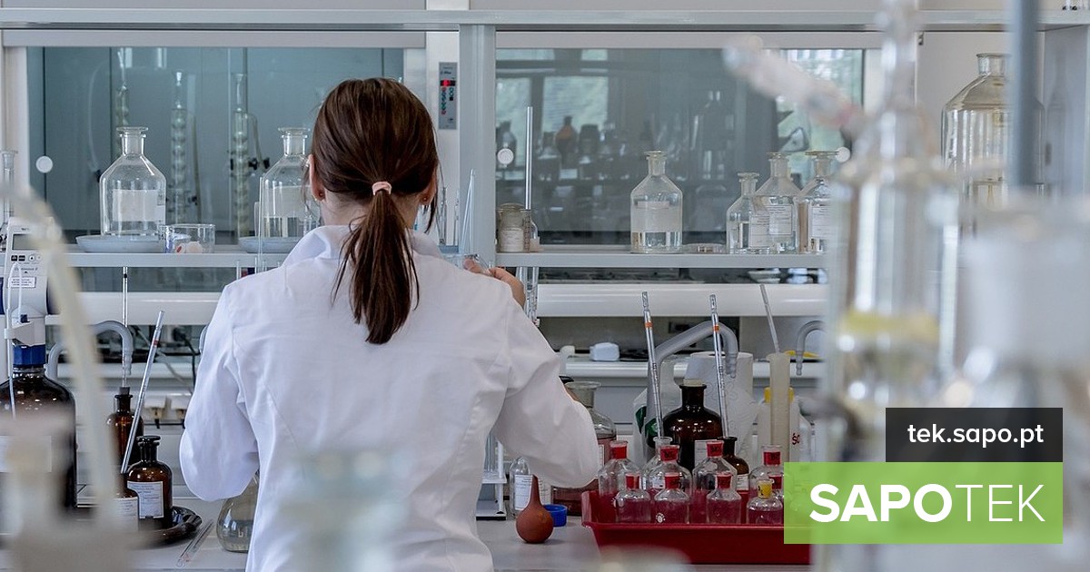 Empresas de tecnologia médica perdem terreno no sector da saúde. Apenas 10% tiram partido da IA generativa – Negócios