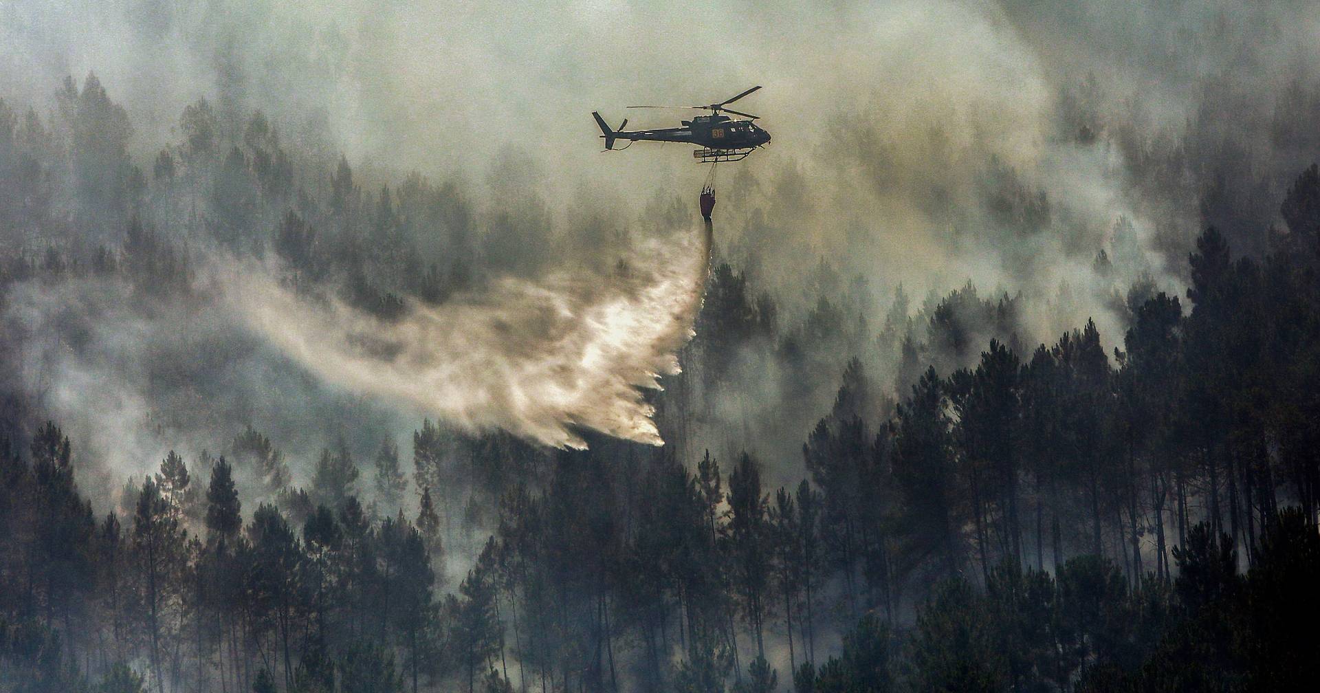 Quase 30 concelhos em risco máximo de incêndio sobretudo no interior