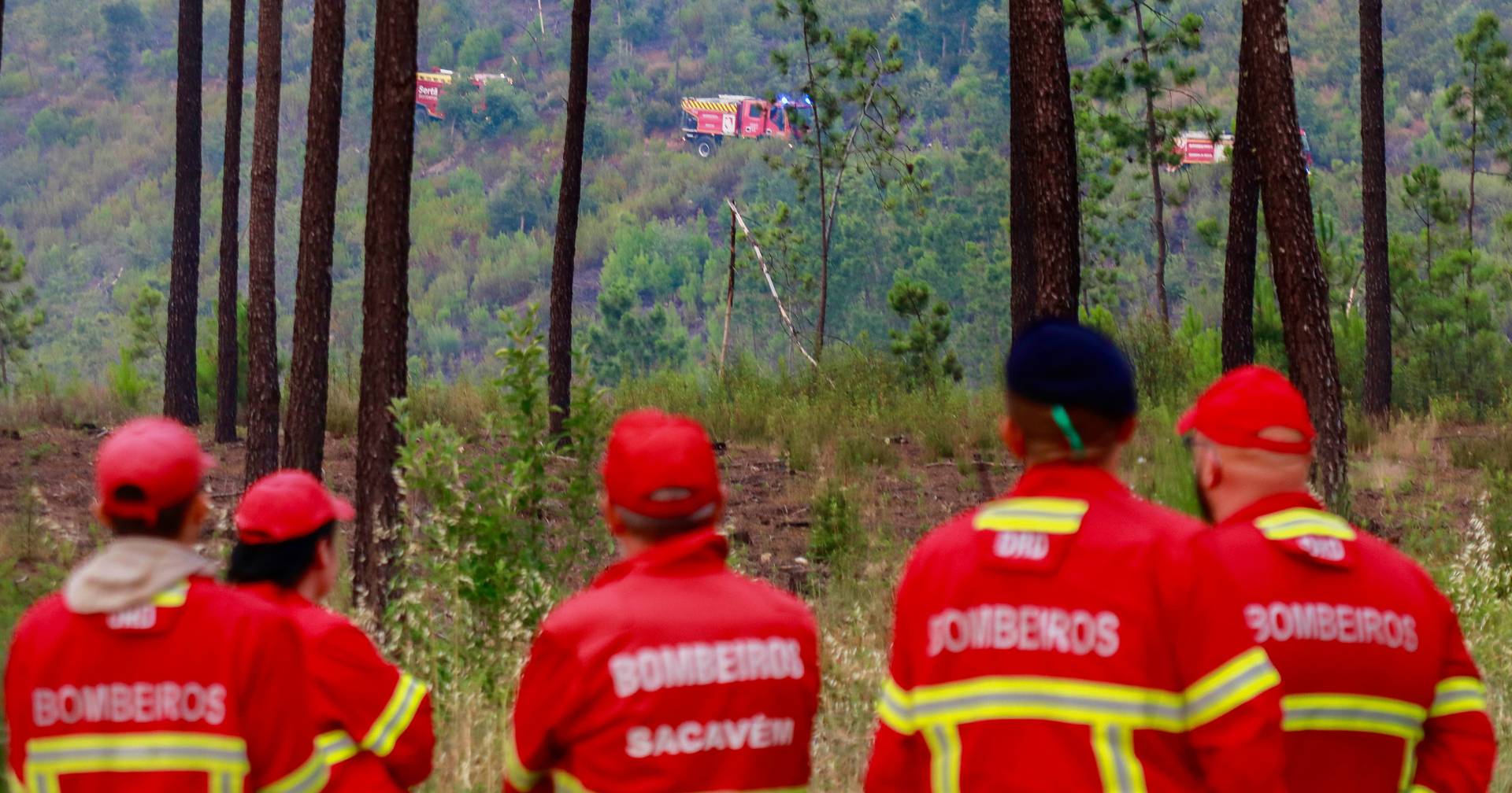 Fogo em Ponte de Lima dominado e em resolução