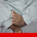 Zetoe é uma extensão do Chrome que ajuda a corrigir erros gramaticais e verificação de factos – Site do dia