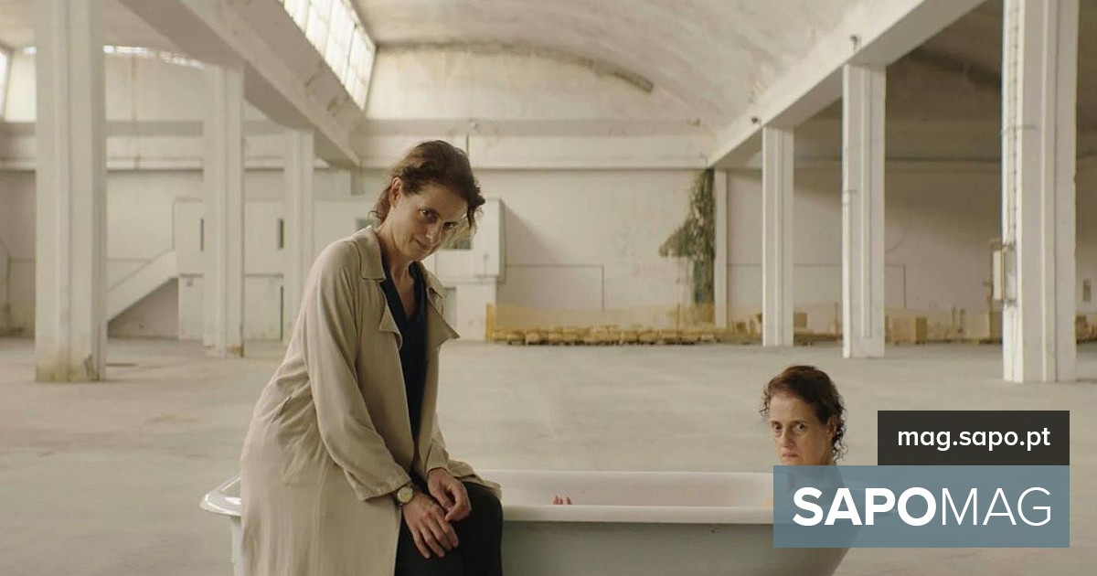 Filme “Sonhar com Leões” em competição no festival brasileiro de Gramado – Atualidade