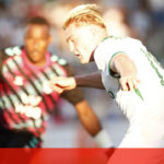 Não é ficção, o Super-Herói das Abelhas existe