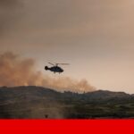 Gripe das aves detetada em ave selvagem na Costa da Caparica