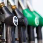 O licoroso que é doce, salgado e “seco” e nasce numa micro-região chamada Carcavelos | Reportagem