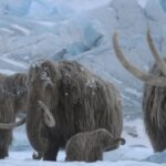 Os pais não podem impedir que os filhos sofram | Opinião