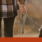 Adiado debate com Cotrim Figueiredo: António José Seguro está doente e “sujeito a repouso absoluto”