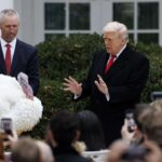 5 estratégias para transformação do SOC com Agentes de IA (Agentic SOC) – Opinião