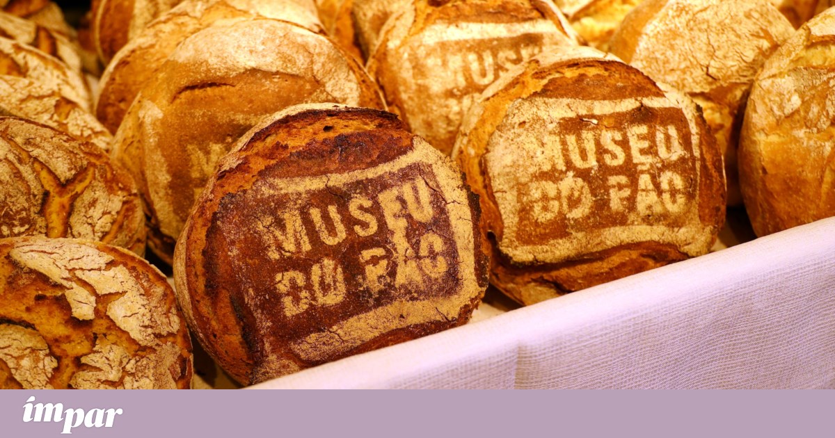 Museu do Pão: o pão e a ovelha da Serra da Estrela | Crónica
