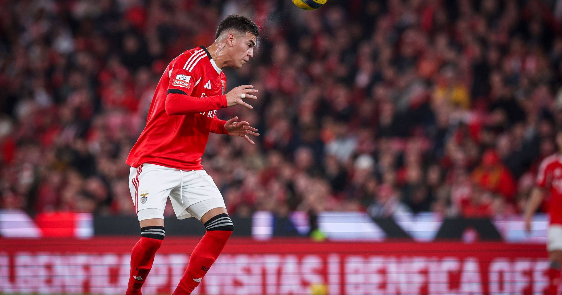 Enzo Barrenechea pode falhar receção do Benfica ao Estoril Praia