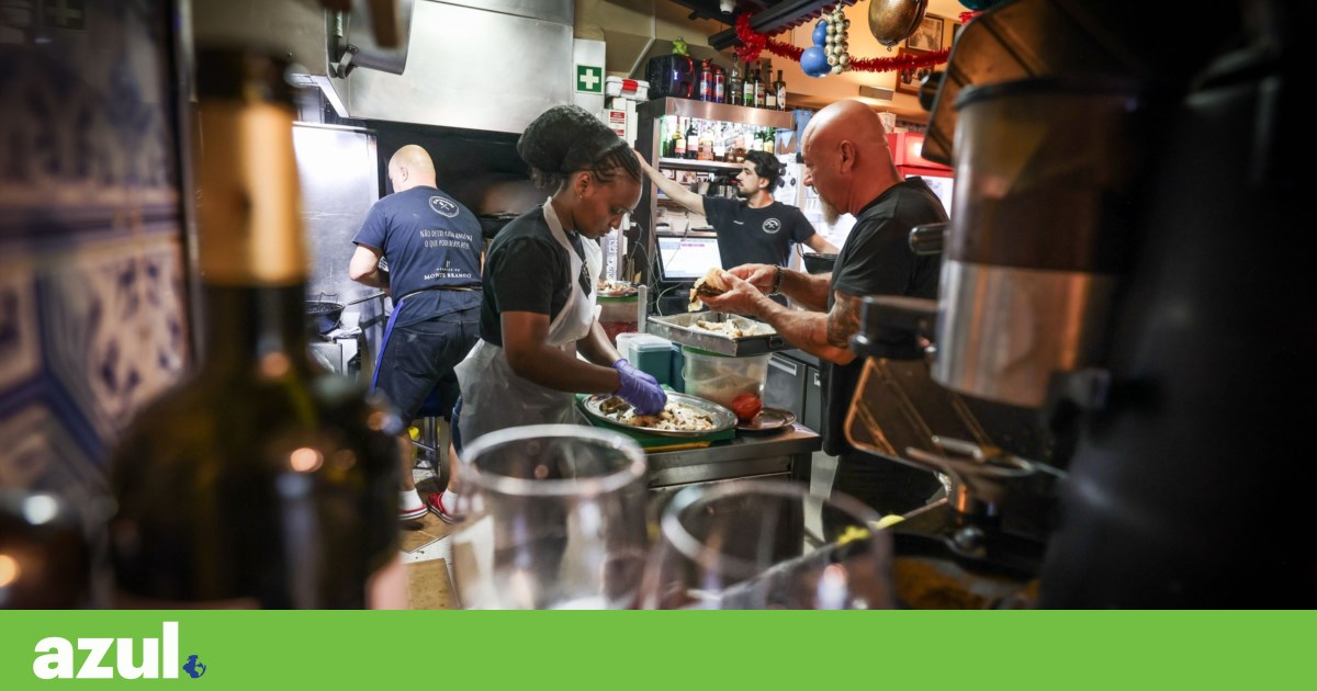 Conheça os chefs que estão a fazer menus gourmet com desperdícios de comida | Sustentabilidade